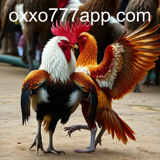 Jogos de Sabong: Uma Tradição Cultural e Sua Evolução Online com OXXO777.COM